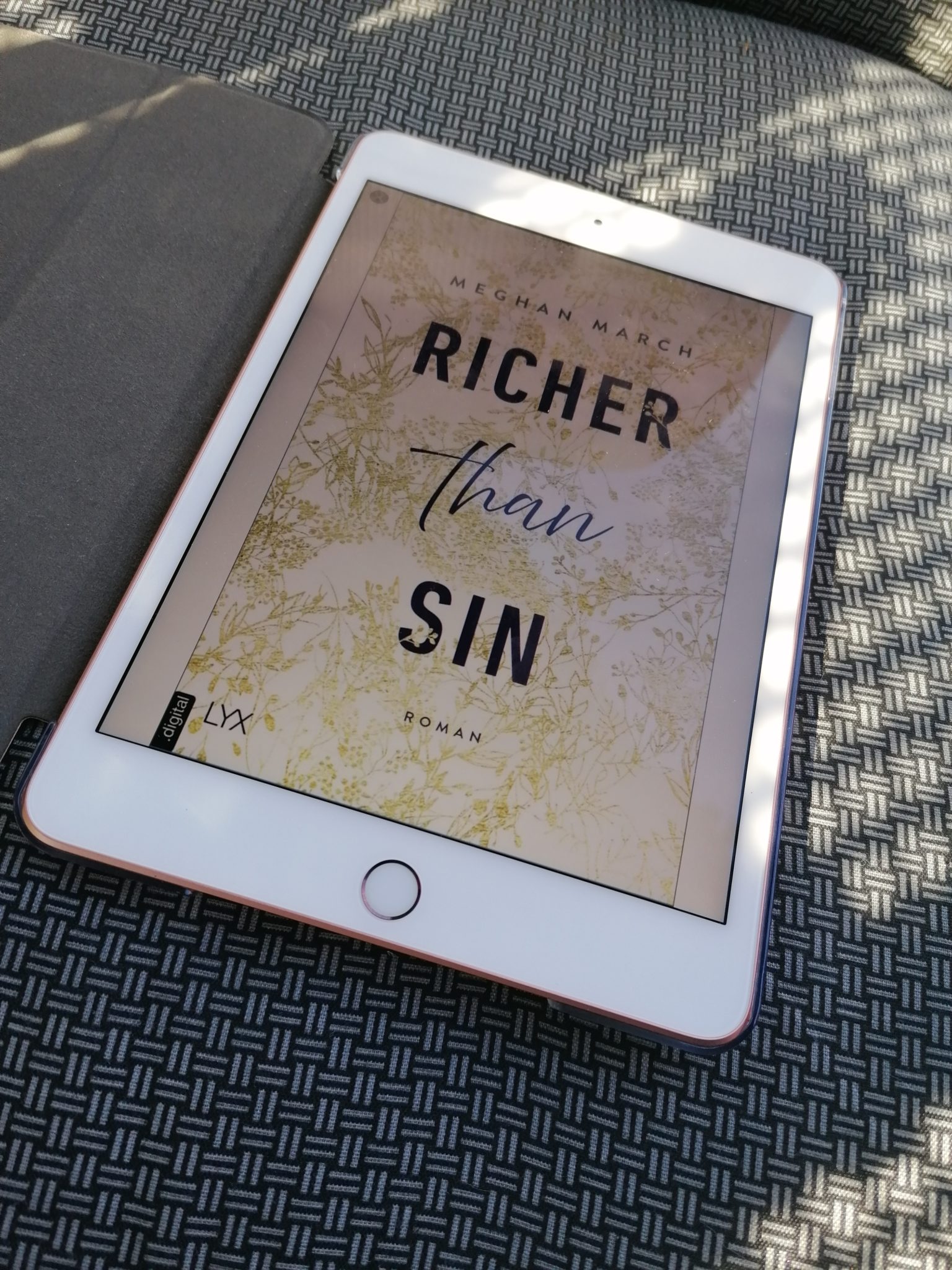 Rezension Richer than Sin von Meghan March Lyx